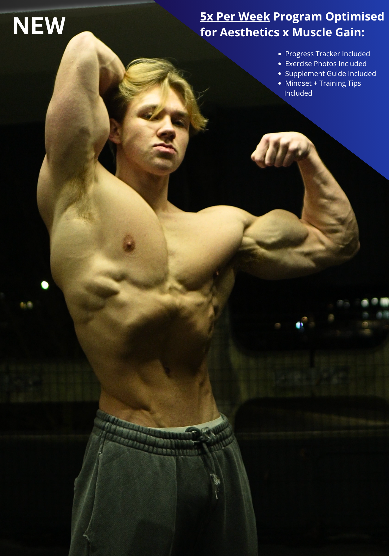 Harley Harmer’s Exact Workout Program (Science Based)